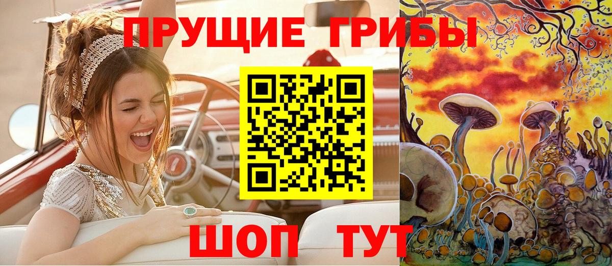 хочу   Вход с VPN  Галлюциногенные грибы Magic Shrooms  Алексин  Псилоцибиновые грибы Psilocybe 